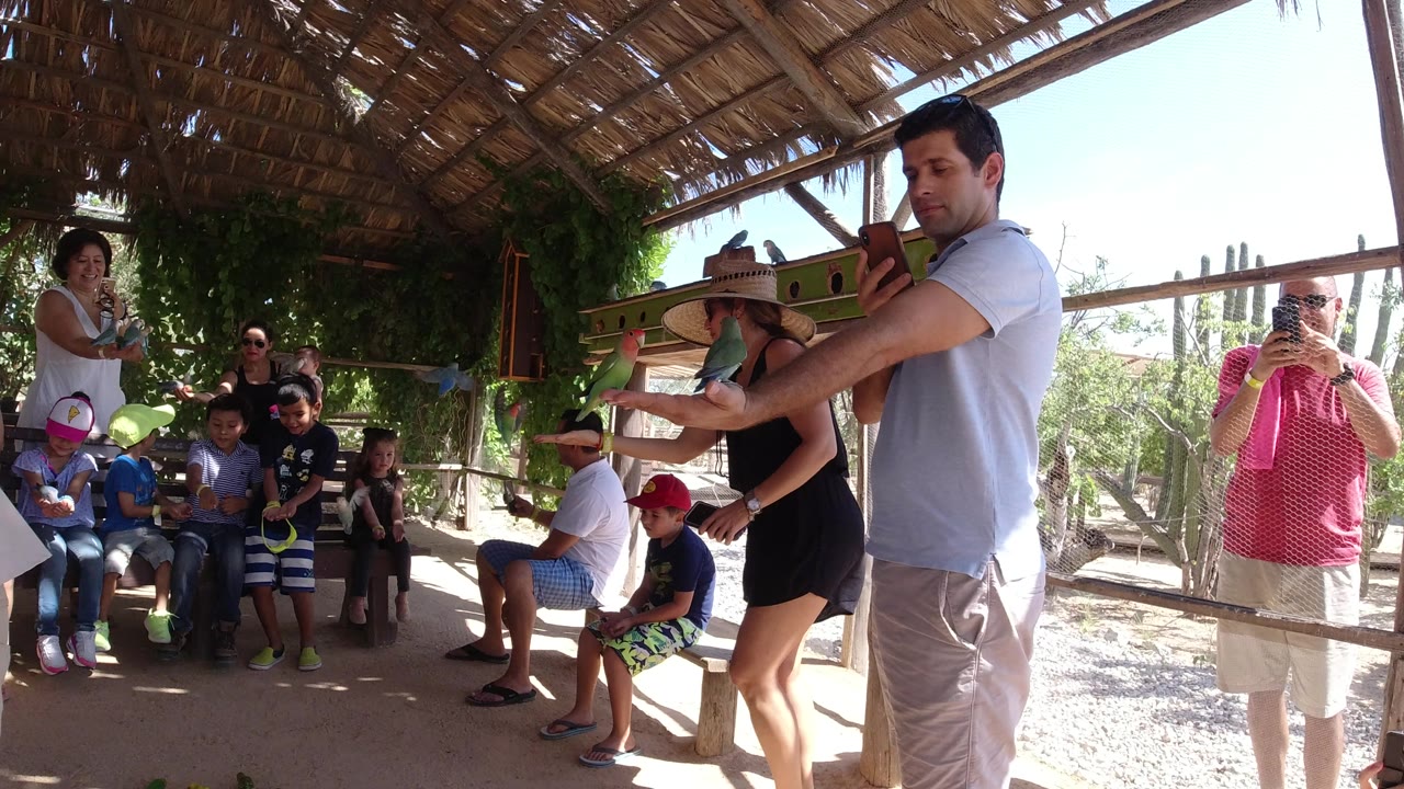 Visitors under a thatched shelter watch parrots near seated children.