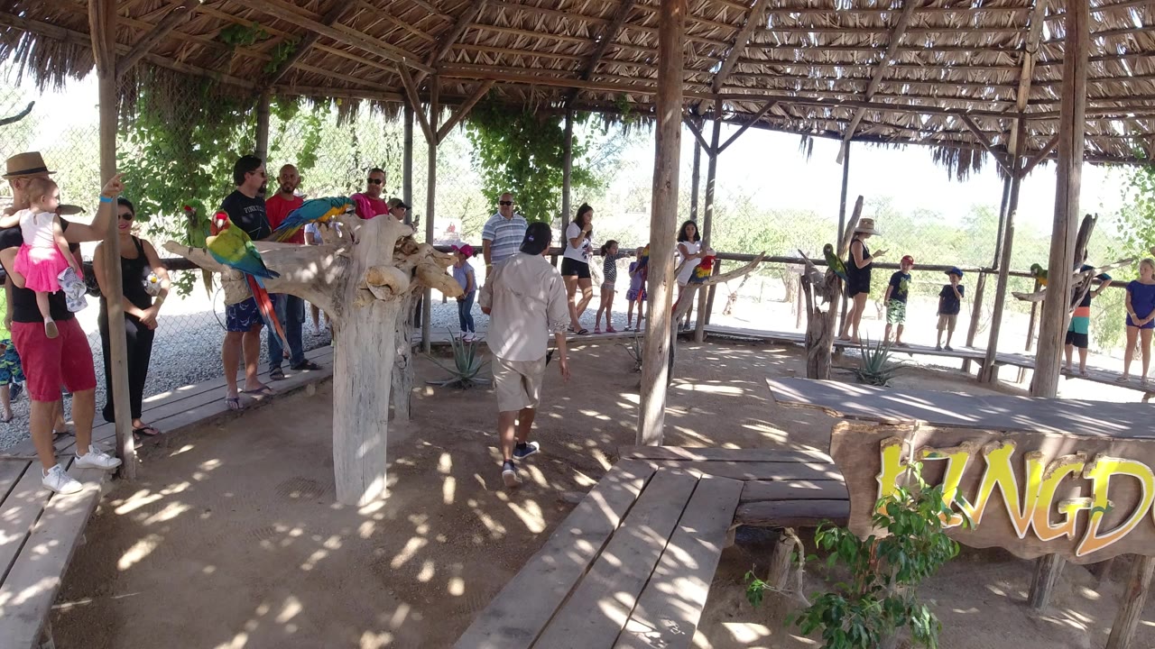 Adults and children stand inside a shaded wooden shelter in Los Cabos, Mexico, while colorful birds perch on a branch near the left side of the frame.