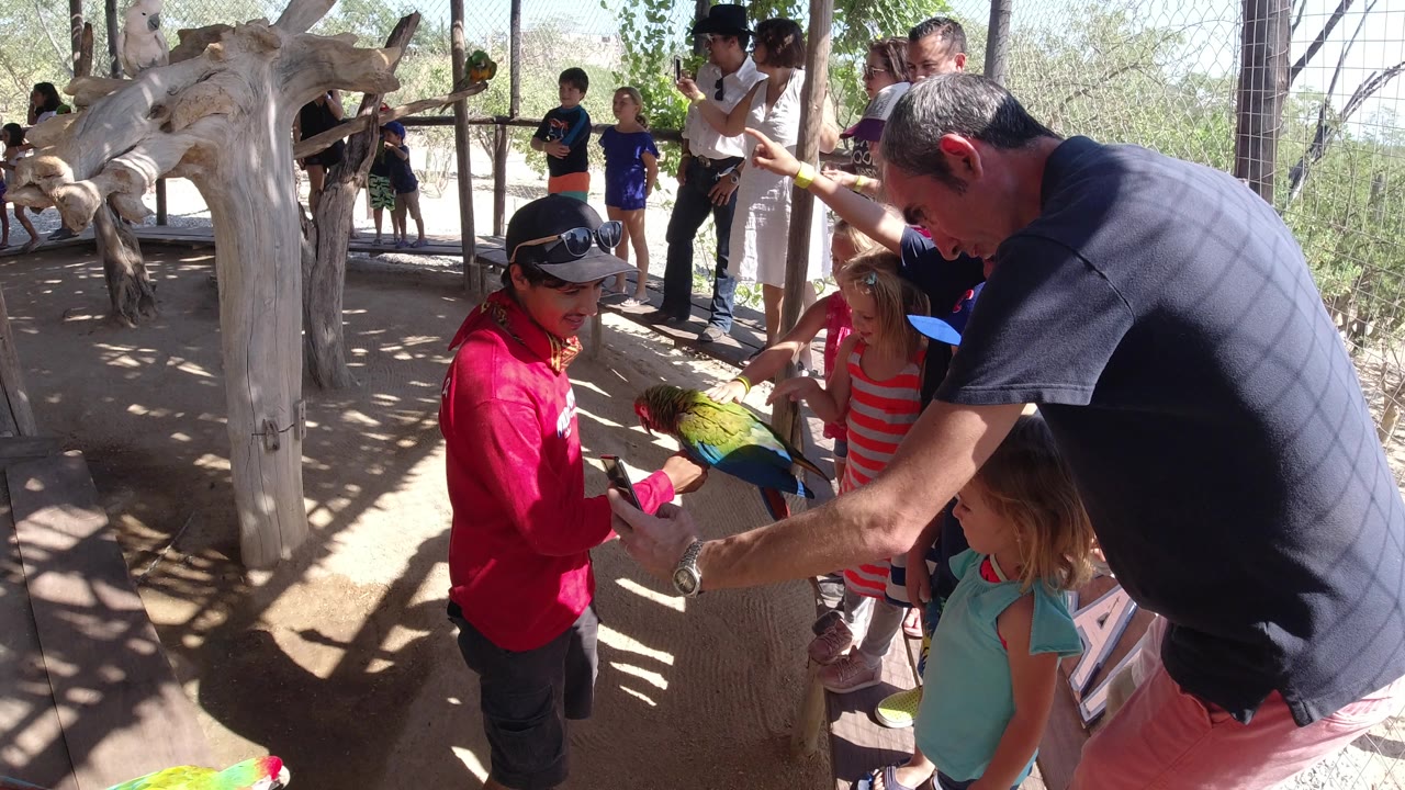 In Los Cabos, Mexico, the bird remains on the handler's hand while a man leans in from the right and children stand close beside the shaded exhibit rail.