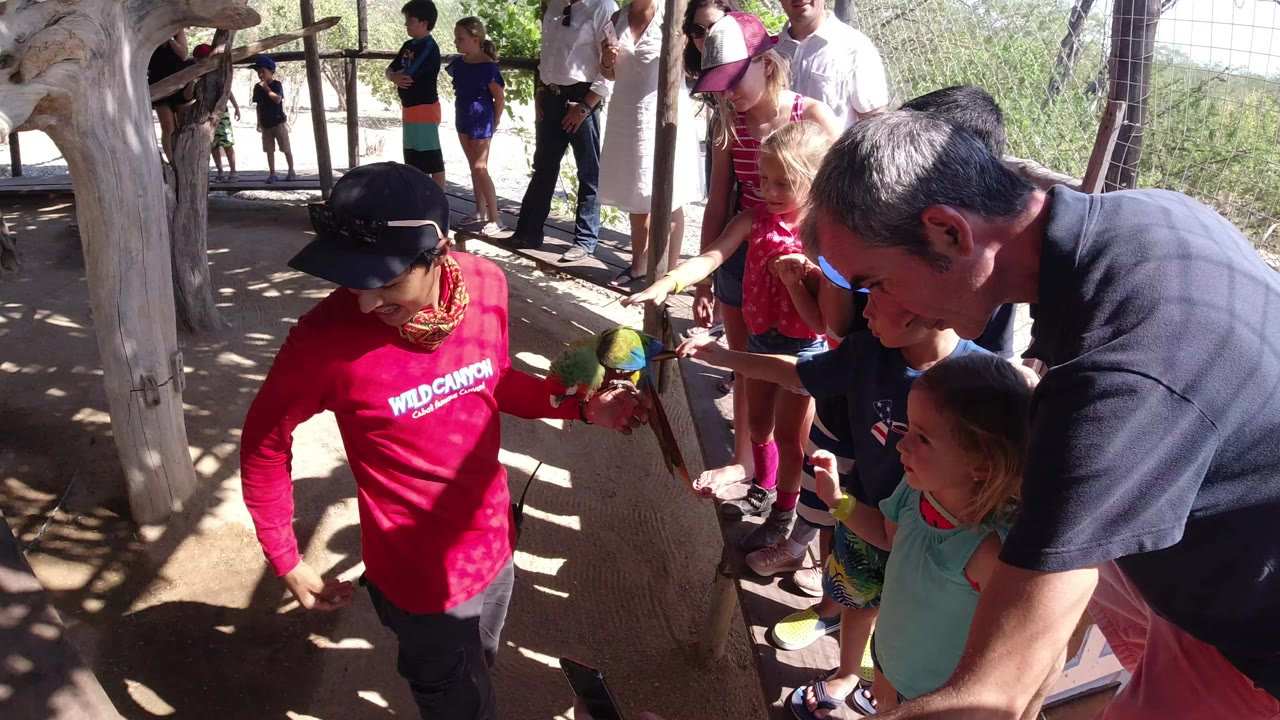 Child and adult beside a handler holding a green parrot in a shaded enclosure.