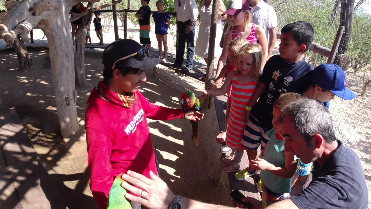 In Los Cabos, Mexico, children cluster closer as the man in red holds a colorful bird at hand level inside the fenced outdoor space.