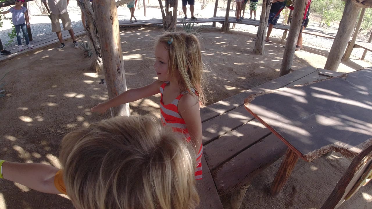 A blonde girl stands near a rough wooden table and rail beneath the shaded roof in Los Cabos, Mexico, while another child is close to the camera in the foreground.