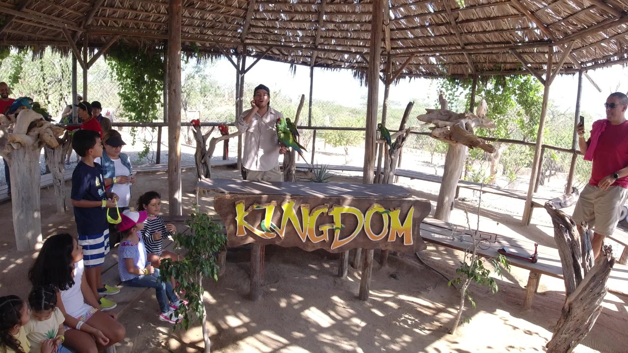 Children and adults gather under a thatched shelter near bird perches and a KINGDOM sign.