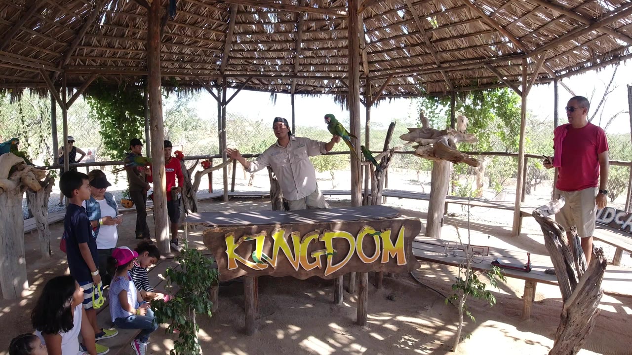 In Los Cabos, Mexico, children and adults stand under a thatched shelter as a man holds a green parrot near a large KINGDOM sign.