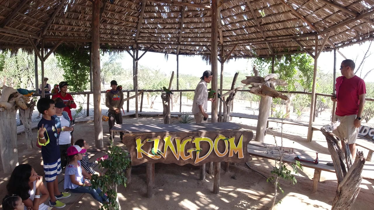 Visitors watch a trainer near a KINGDOM sign under a thatched shelter.