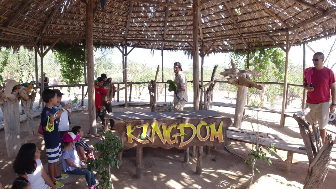 In Los Cabos, Mexico, children sit and stand near a rustic KINGDOM display while a man holds a green parrot under a shaded thatched structure.