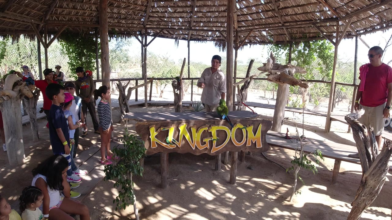 A group of children and adults watch a man handling a green parrot inside an open thatched shelter in Los Cabos, Mexico, with a rustic KINGDOM sign on the table.
