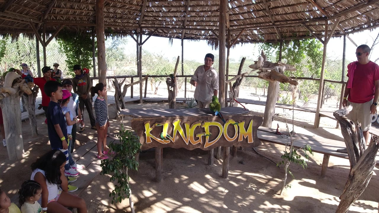 The parrot handler stands behind the rustic table as children and adults gather along the left side of the shaded shelter in Los Cabos, Mexico.