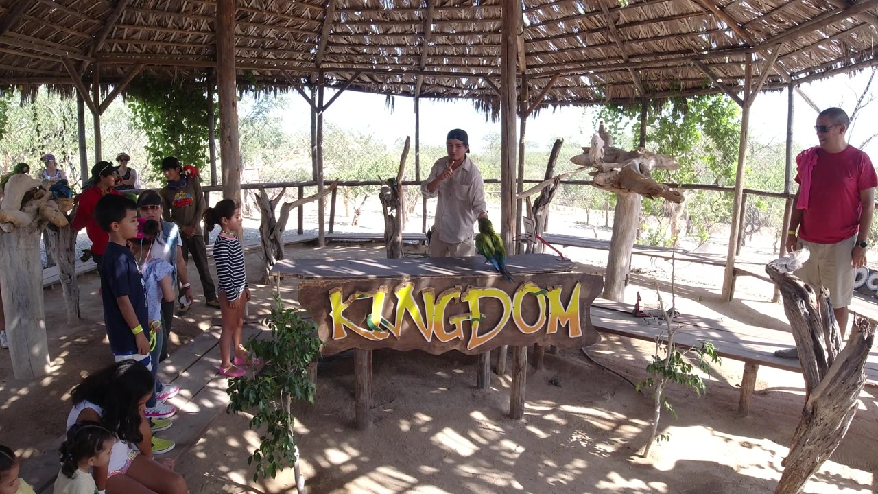 Children face a man holding a green parrot near a wooden display area.