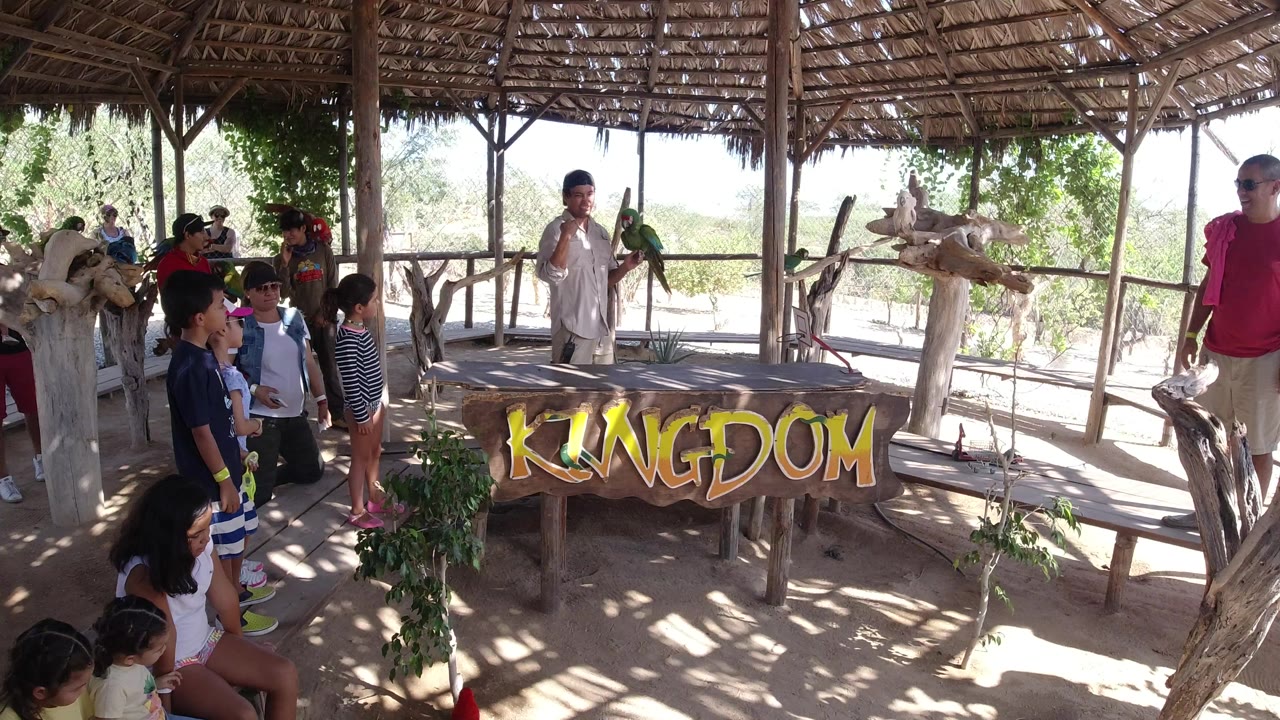 Children and adults watch a parrot handler under a thatched shelter.