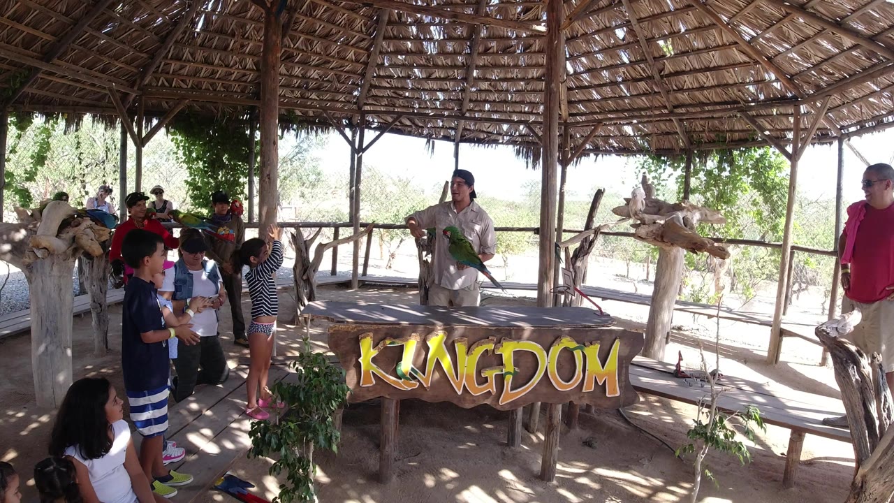 Children and adults watch a macaw handler under a thatched shelter.