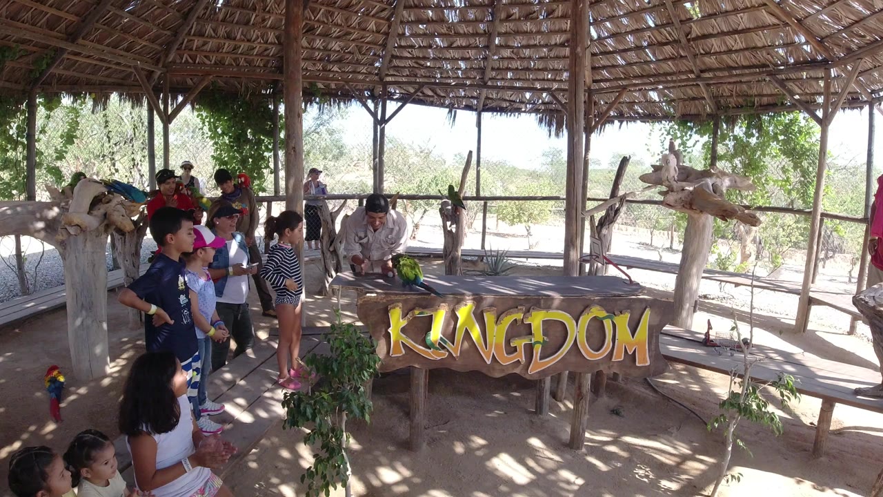 Children and adults watch a parrot trainer inside a thatched zoo exhibit.