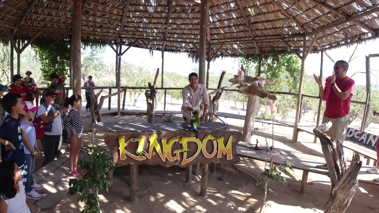 Children and adults under a thatched shelter watching a bird presentation.
