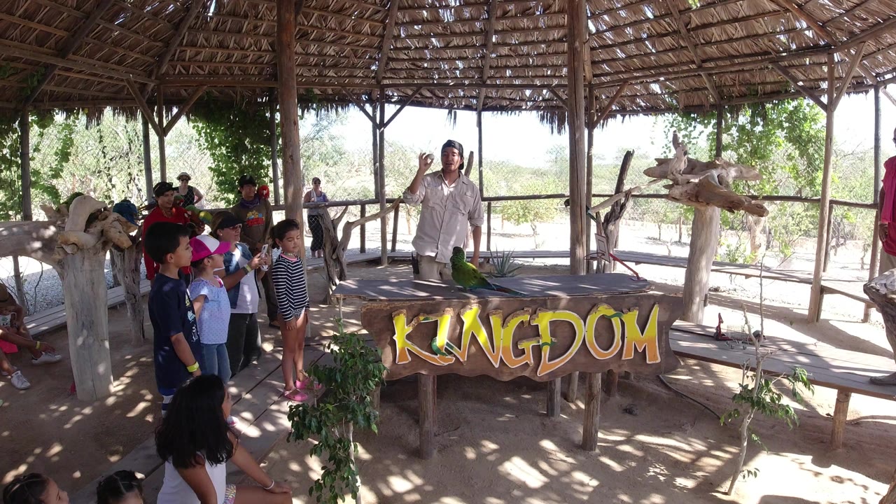 Children watch a man with a green parrot at a wooden table under a thatched roof.