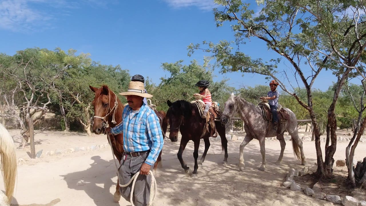 Adult guide leading horses with children riding behind him on sandy ground.