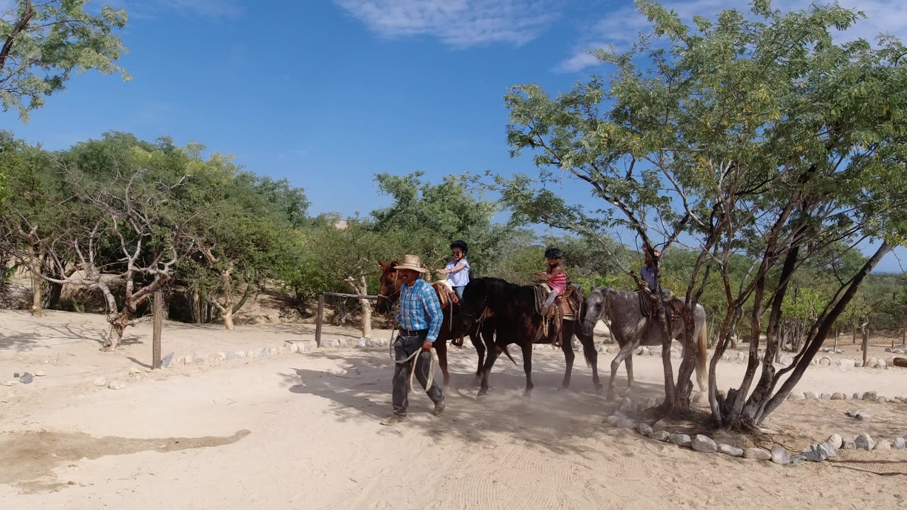 Guide leads horses with children riding on a sandy trail under trees.