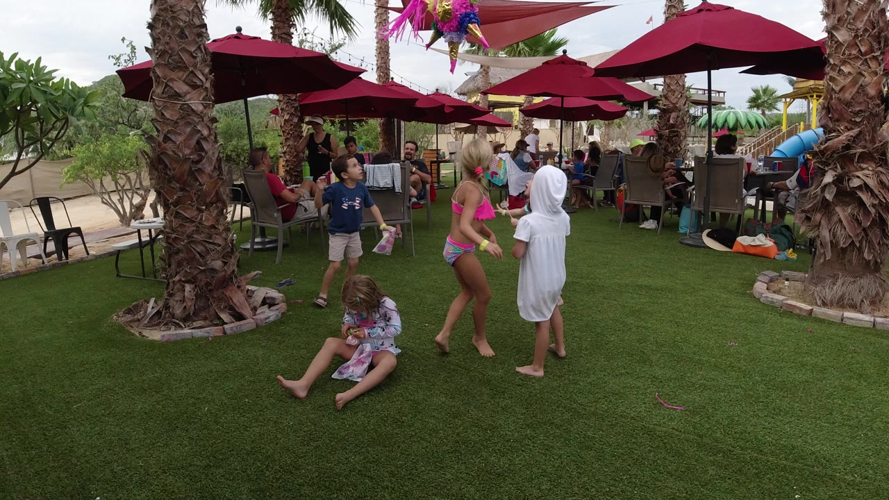 Children on artificial grass near red umbrellas and palm trees