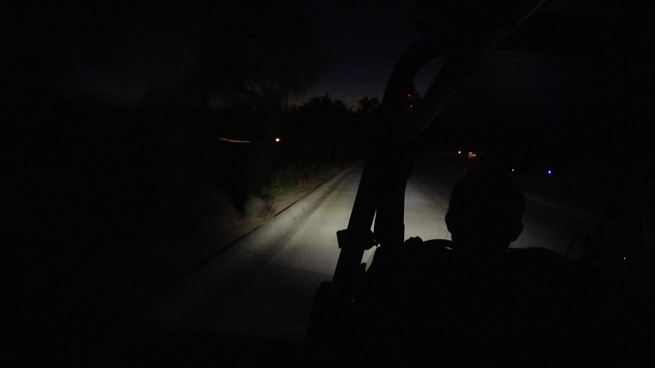 A dark Los Cabos road at night is lit by a vehicle headlight beam, with roadside trees and black foreground interior shapes, no visible people.