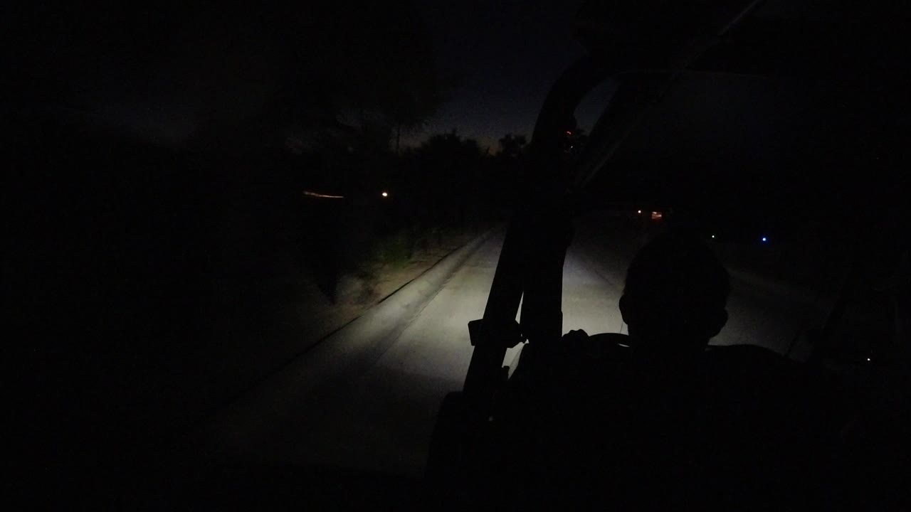The Los Cabos night road remains mostly black while headlights reveal the pavement edge, a curb, nearby brush, and faint lights in the distance, no visible people.