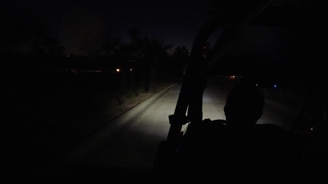 Night road with illuminated lane edge and dark trees.