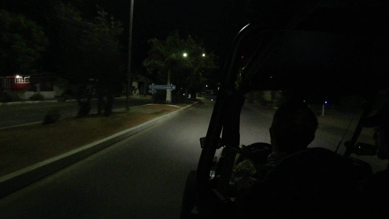 Night street passing a lit sign and palm trees