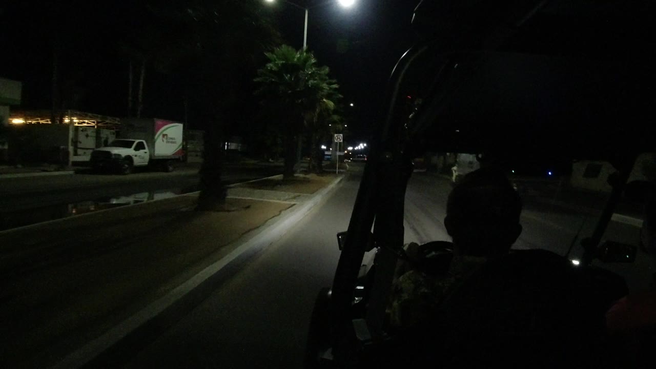 A vehicle-facing view down a Los Cabos divided street at night, with a rider silhouette centered, palm trees near the median, and parked trucks visible under streetlights.