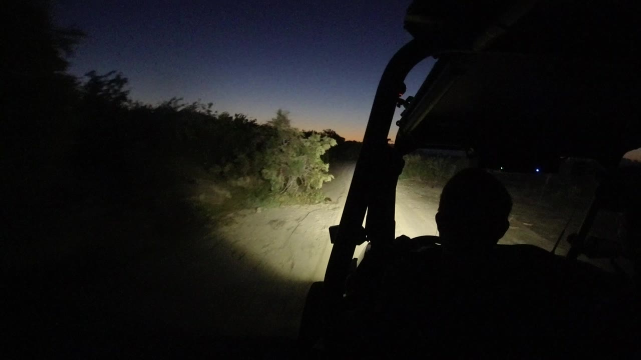 Jeep interior silhouette facing a headlit dirt road at night