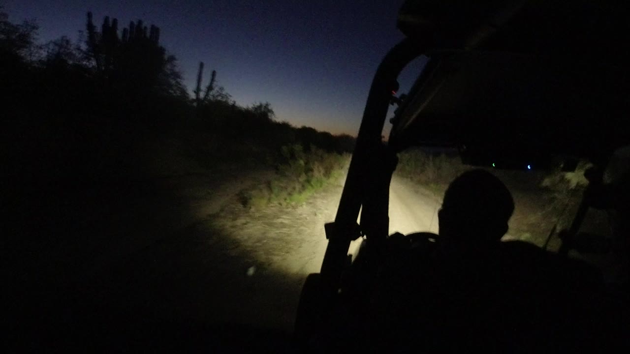 A Los Cabos night road seen from a jeep-mounted viewpoint, with headlights lighting a dirt track, dark shrubs, cactus silhouettes, and a shadowed occupant outline in the foreground.