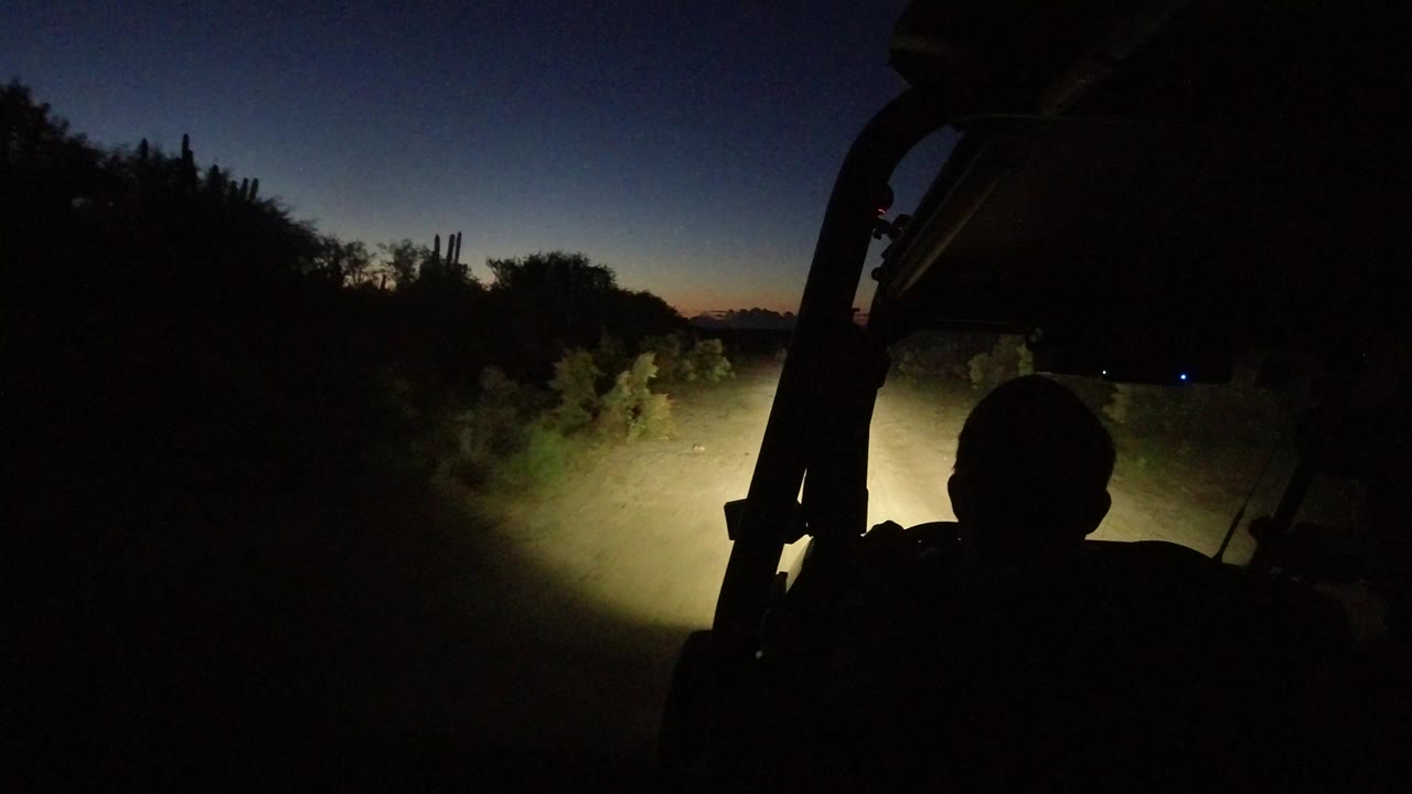 Silhouetted passenger inside a vehicle with headlights on brush