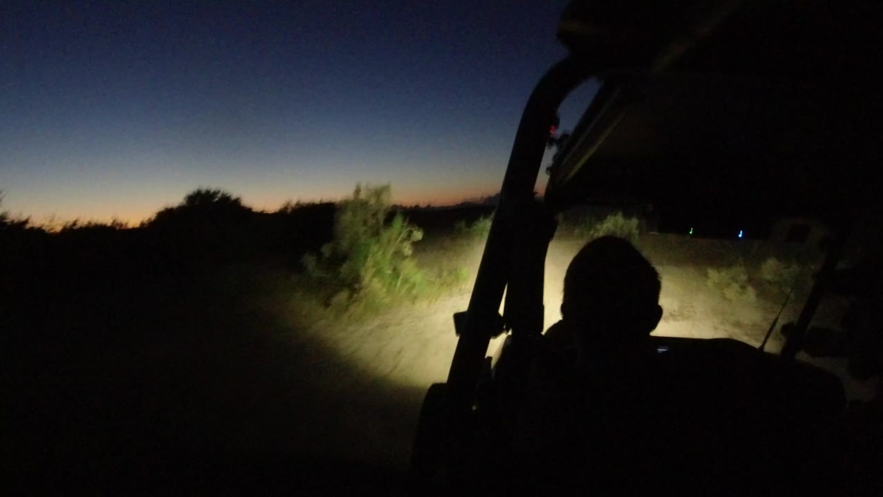 Night trail seen from inside an off-road vehicle with headlights on brush.