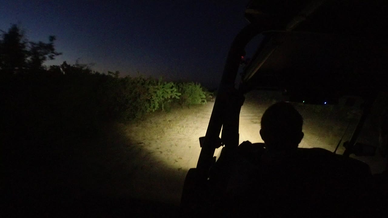 In Los Cabos, Mexico, a silhouetted driver sits inside a vehicle as headlights illuminate a pale dirt road and green brush under a dark blue dawn sky.