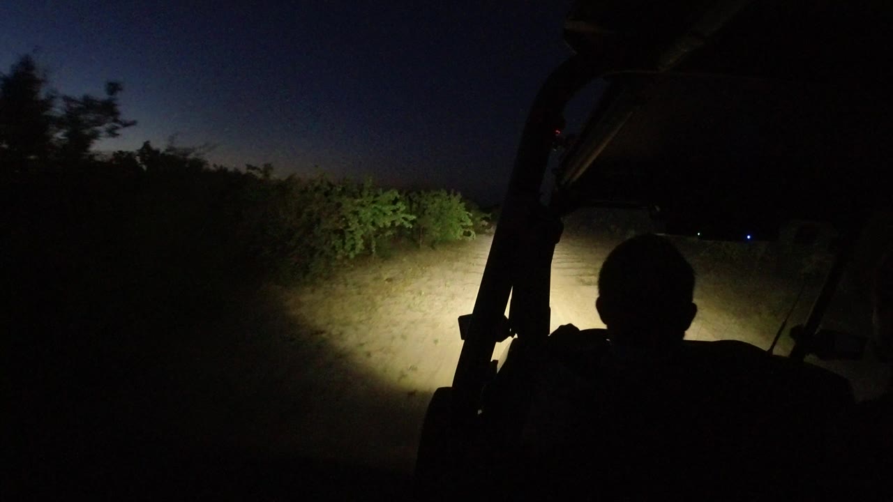 In Los Cabos, Mexico, the driver's dark head and shoulders remain in the foreground while the headlight beam catches roadside shrubs along the dirt track.