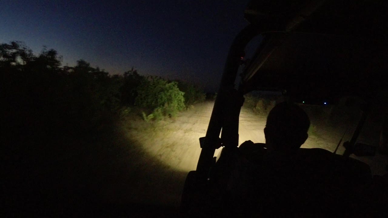 One second into the Los Cabos drive, the headlight beam centers on the pale dirt track while bushes crowd the left and right edges with no visible faces.