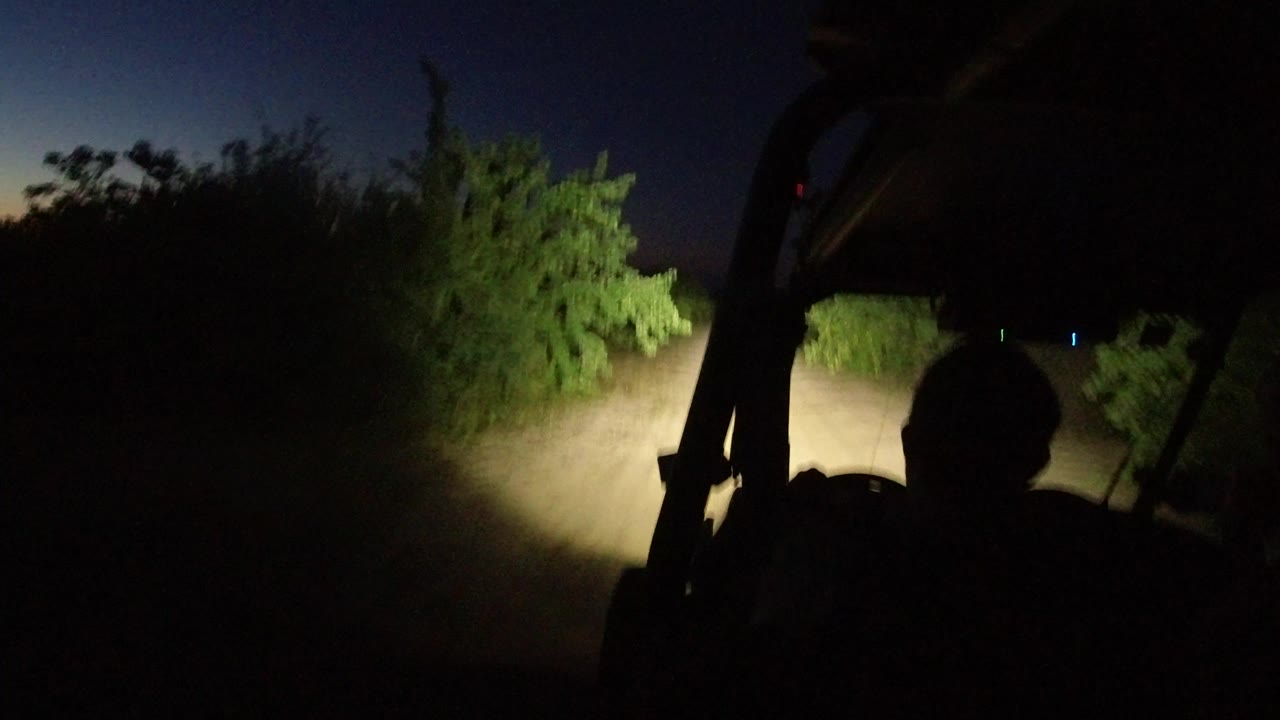 Headlights illuminate a dirt road and brush from inside a dark vehicle.