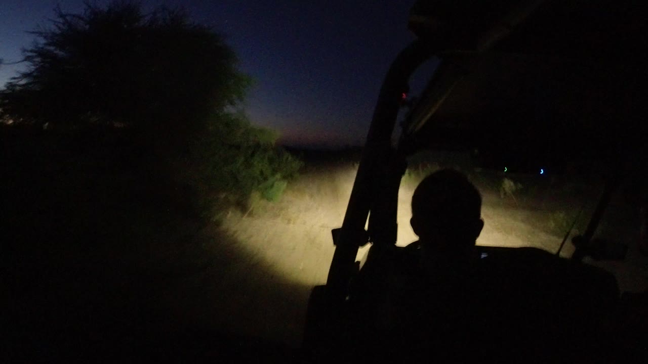 Wrangler driving on a dark sandy desert road with headlights ahead.