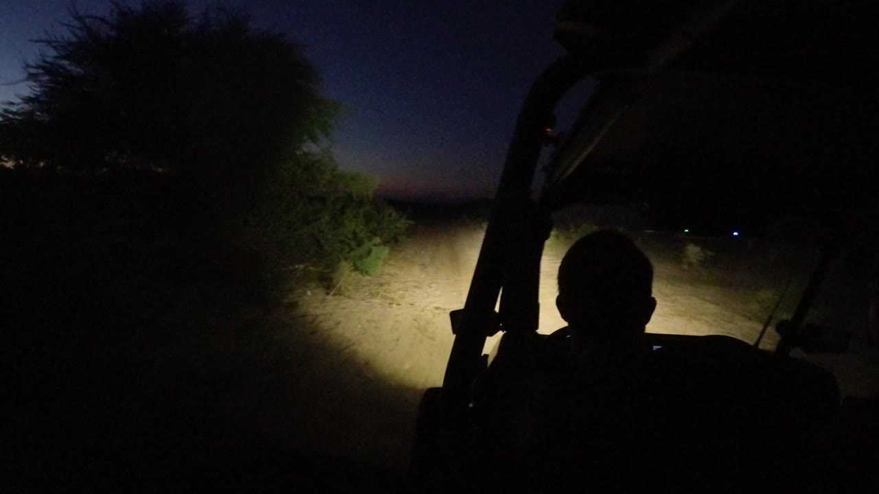 At 0:01 in Los Cabos, Mexico, the vehicle continues along the sandy track, with shrubs close to the road and a passenger silhouette centered against the headlight glow.