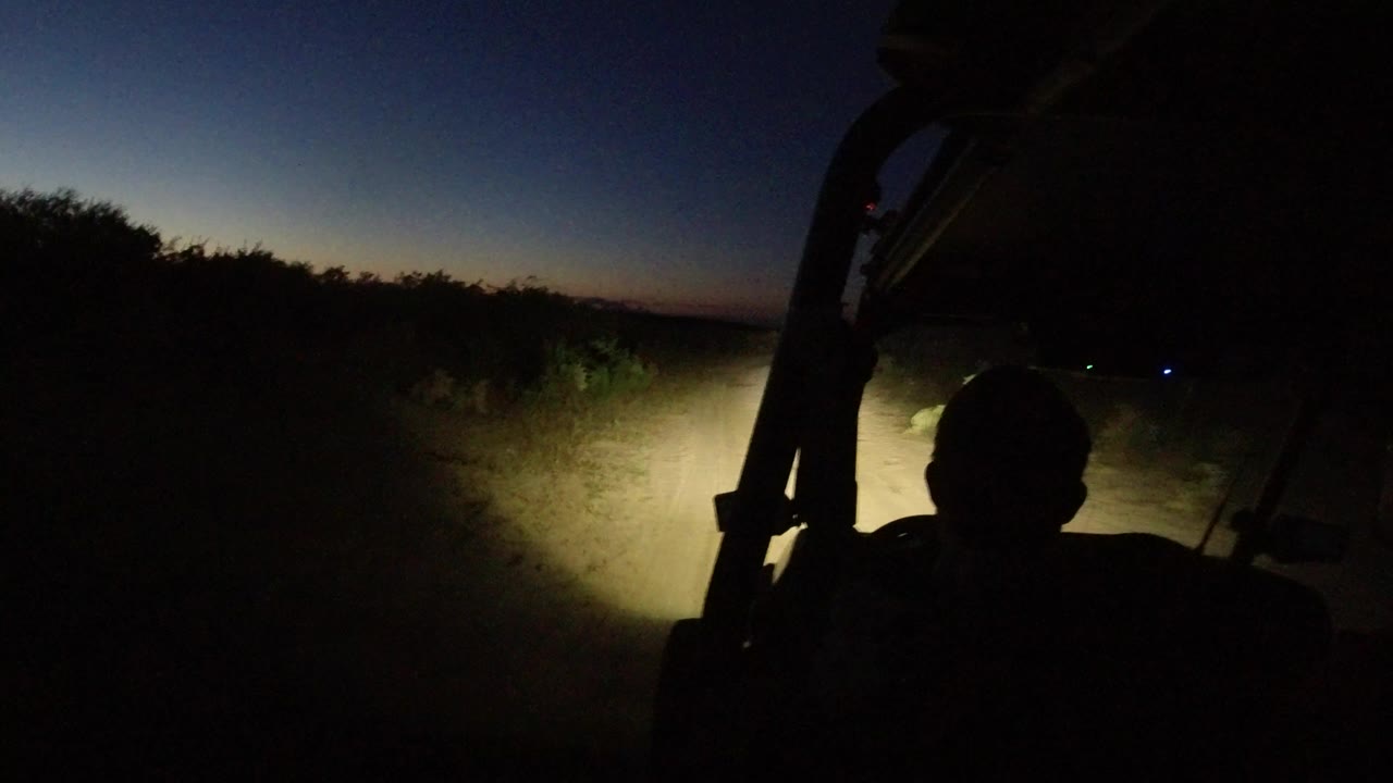Night buggy view with headlights on a sandy trail