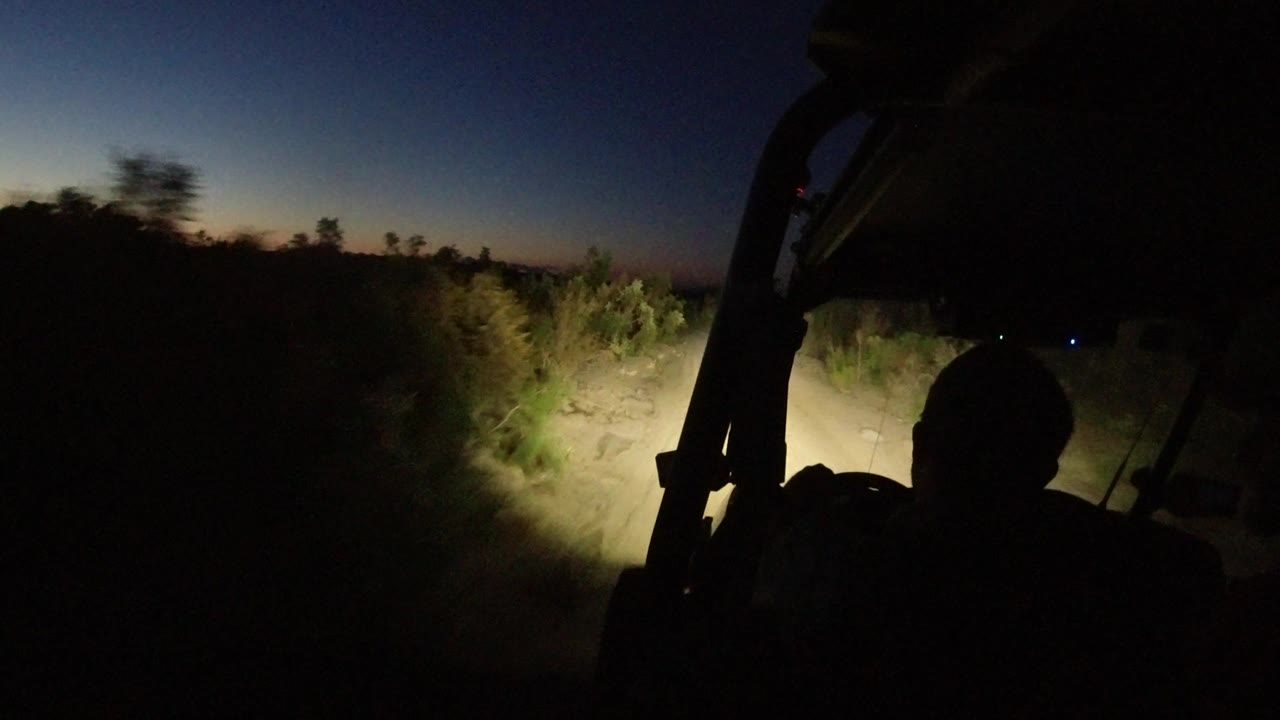 Blurred shrubs pass close to the vehicle as headlights hit the sandy track.