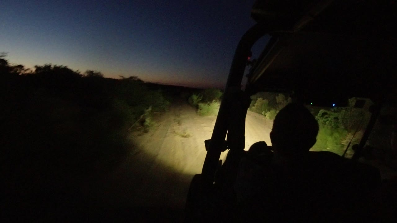 Headlights curve across a dusty roadside with brush at night.