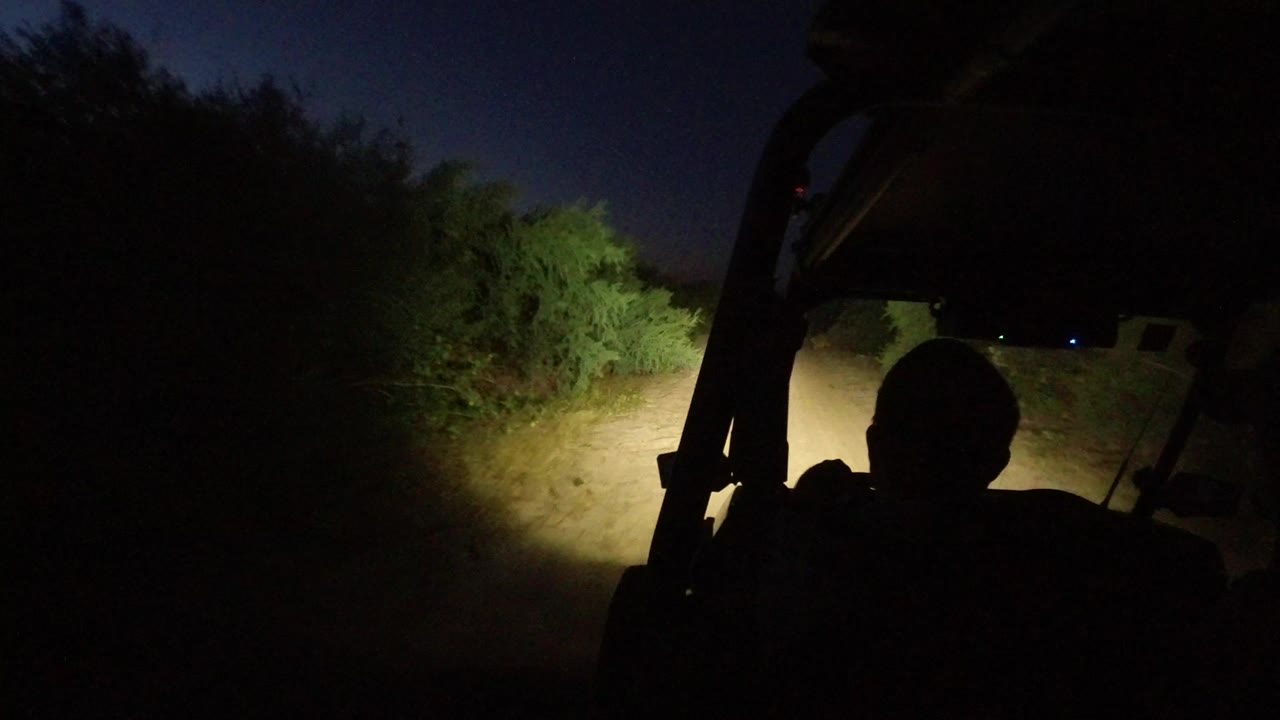 Vehicle-mounted night view in Los Cabos, Mexico, with headlights lighting a sandy dirt road, dense brush on both sides, and a dark non-recognizable seated silhouette in the foreground.