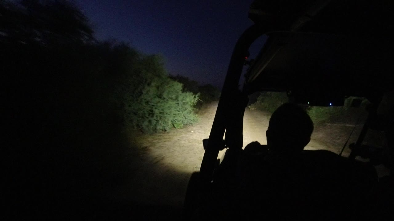Headlights sweep across a dirt road bordered by brush in darkness.