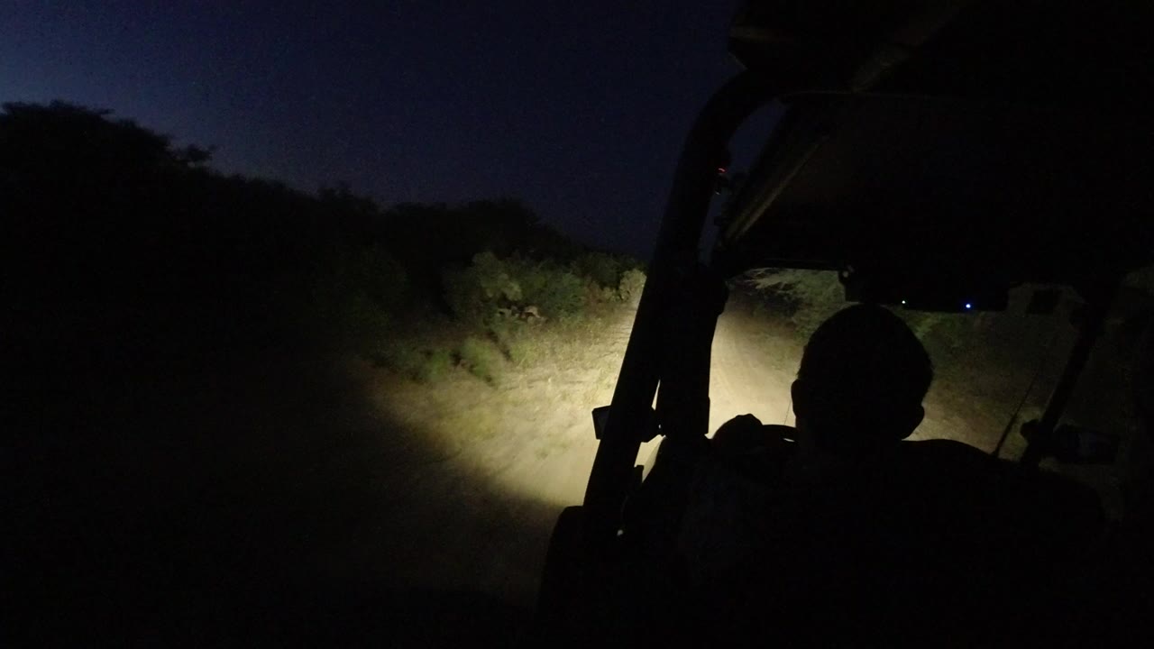 A dark Los Cabos vehicle interior frames a silhouetted person while headlights illuminate low roadside brush and a dirt track ahead.