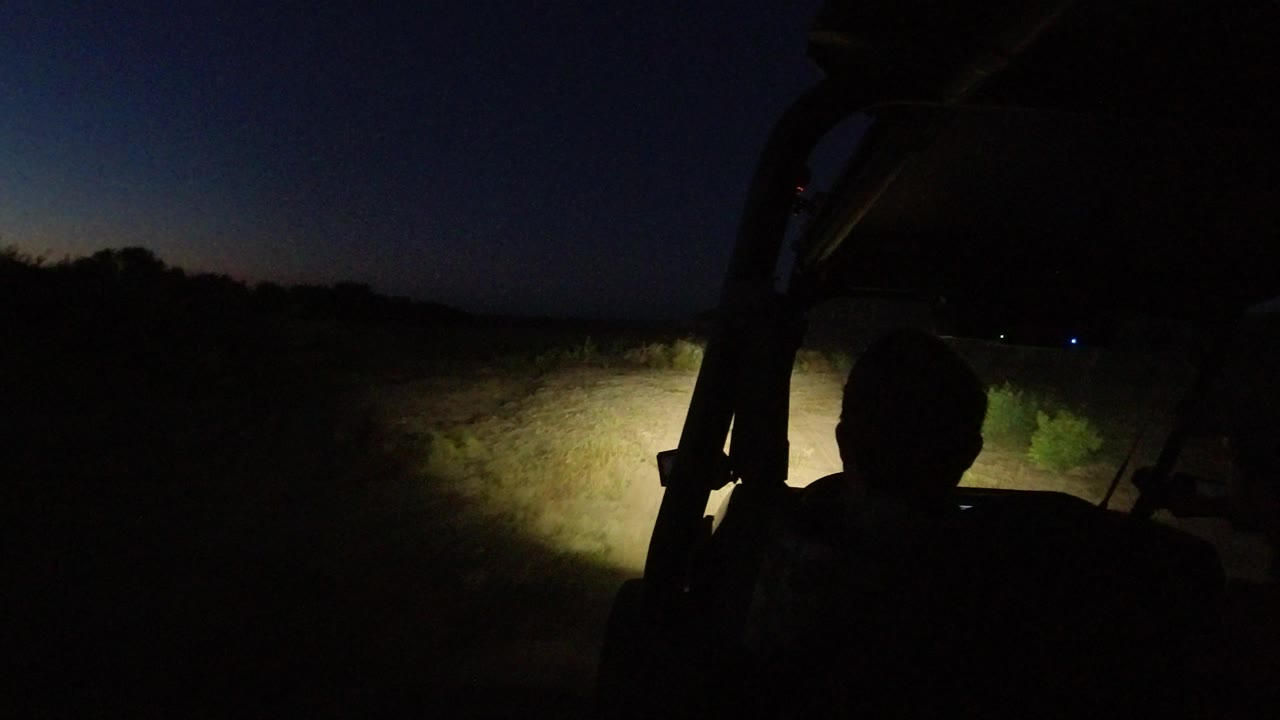 Bright headlight patch on dry brush and dirt at night