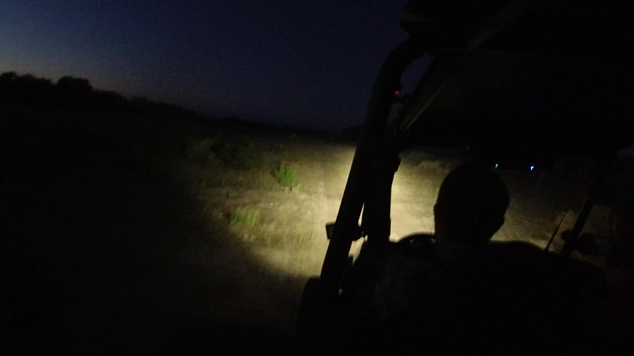 A silhouetted rider or driver sits in the foreground while the jeep headlights brighten pale desert grass and brush under a dark Los Cabos night sky.