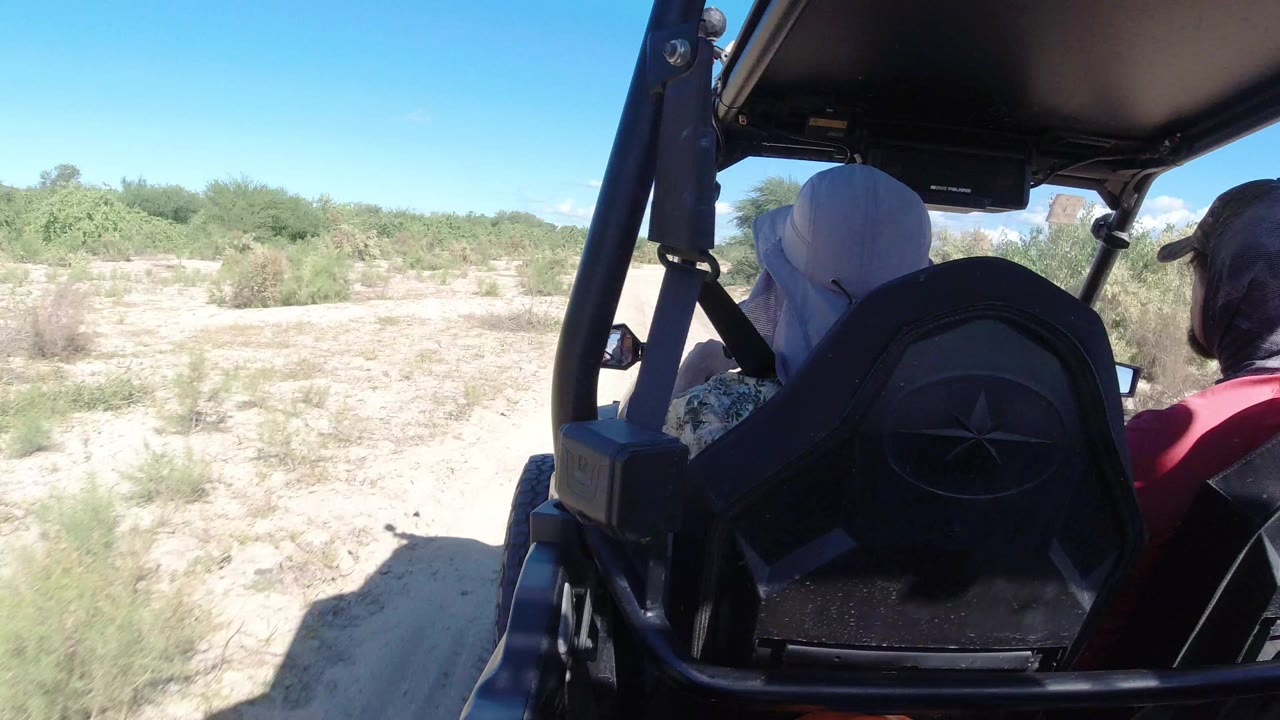 Rear-seat view from an open vehicle in Los Cabos, Mexico, with passengers seen from behind, black vehicle frame in the foreground, sandy ground, and low green shrubs ahead.