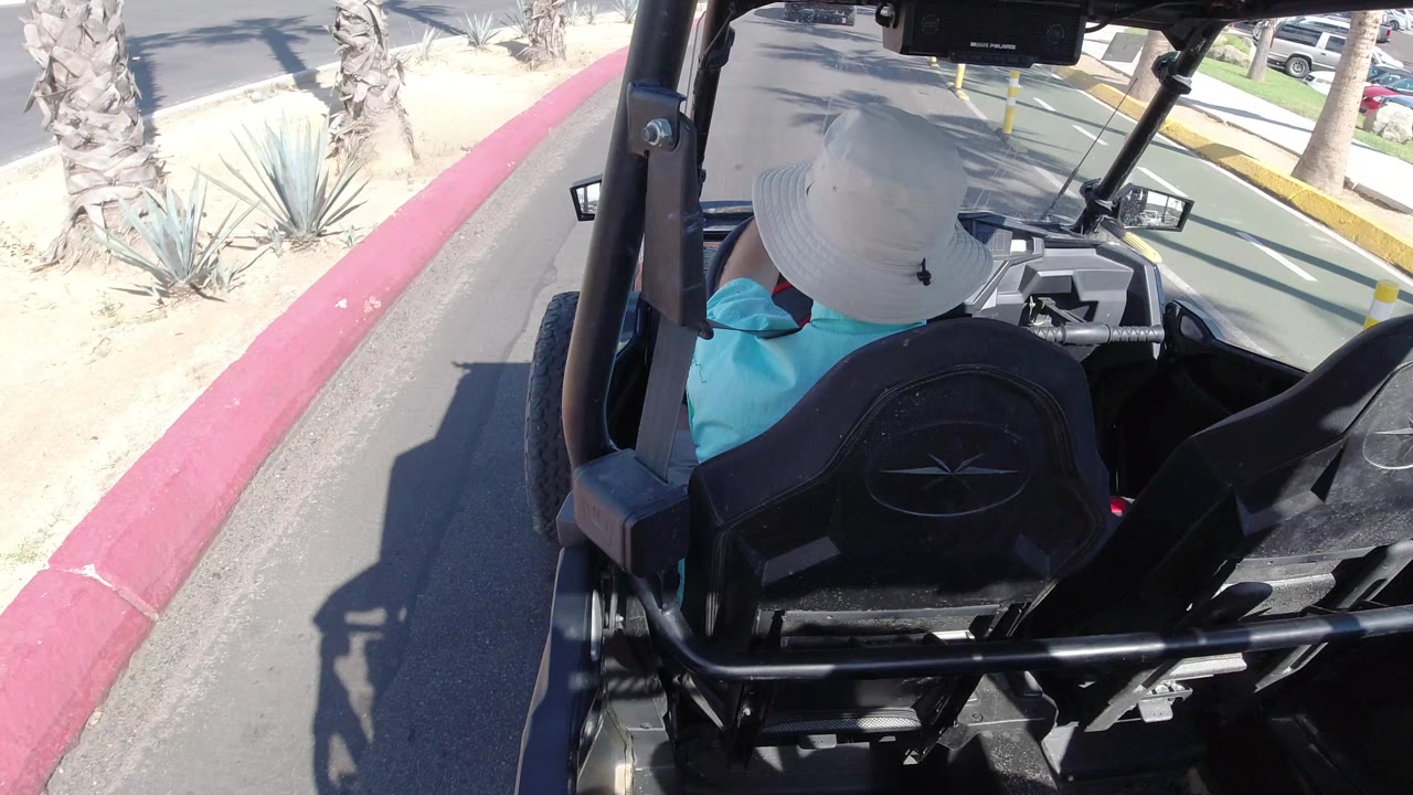 The driver remains centered from behind as the open vehicle moves along a paved Los Cabos road with a red-painted curb, palm shadows, and pale roadside planting beds.