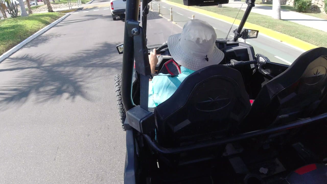 The rider remains centered from behind as the black vehicle frame and seat backs fill the foreground, with a quiet Los Cabos road, green curb lane, grass, and tree shadows ahead.
