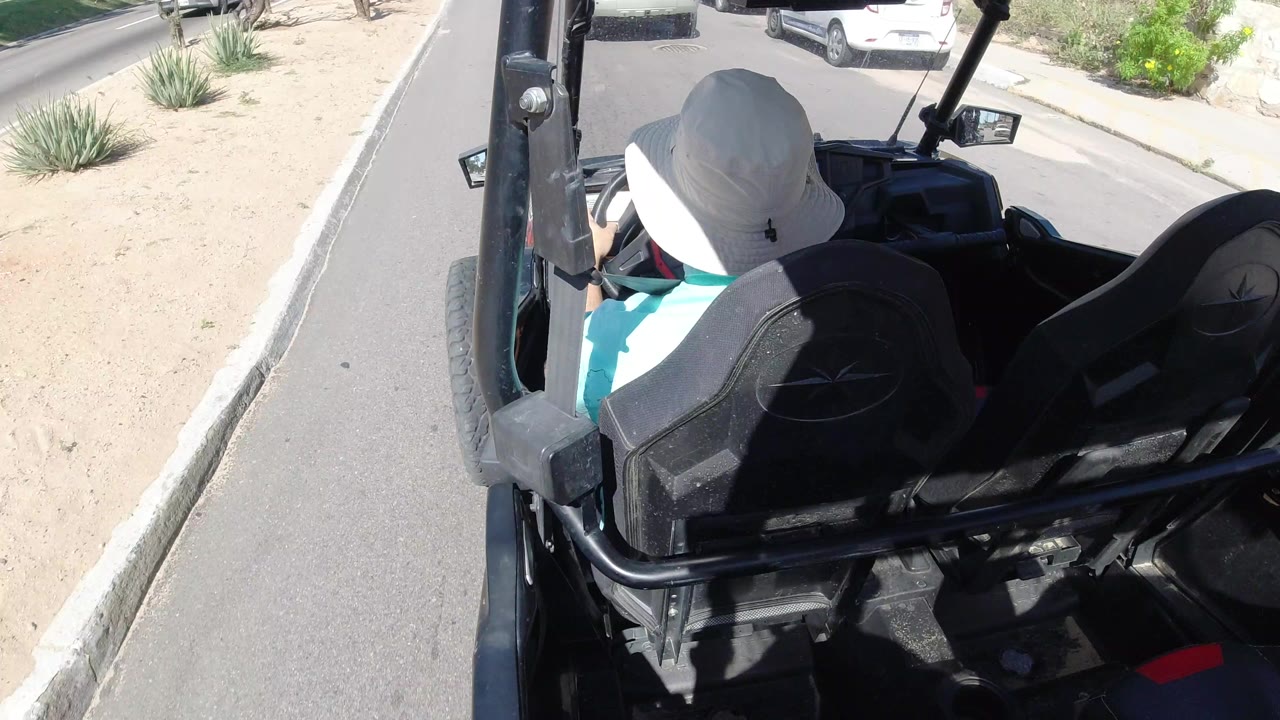 The driver remains centered from behind as the open vehicle travels along a Los Cabos road with sand, agave-like plants, and parked cars ahead.