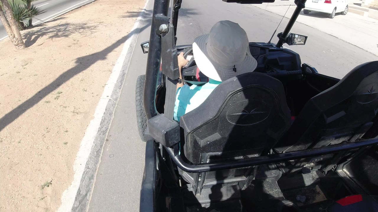 High rear view of the Los Cabos vehicle ride with a driver in a white sun hat, black roll bars, sandy roadside, palm trunks, and a sunlit street edge.
