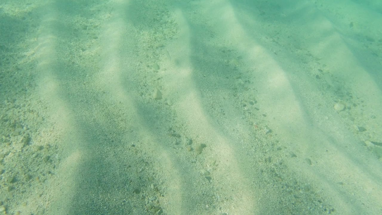 Underwater view in Los Cabos, Mexico showing pale rippled sand beneath turquoise water with no visible people.